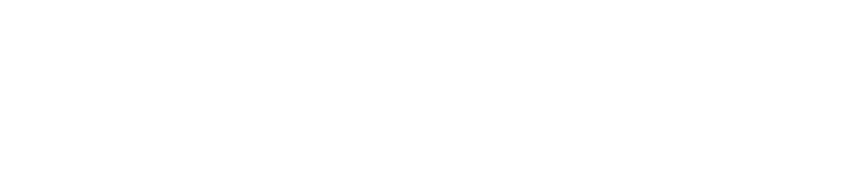 Ibotta Media Group Logo